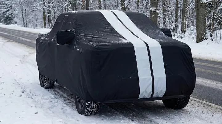 Truck cover for snow