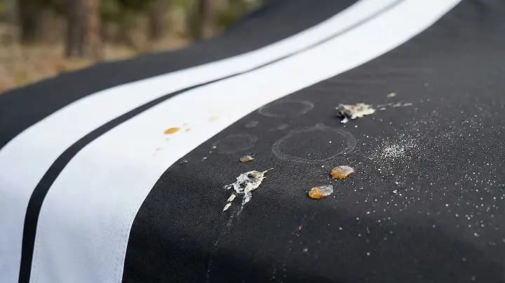 Easy to clean truck covers